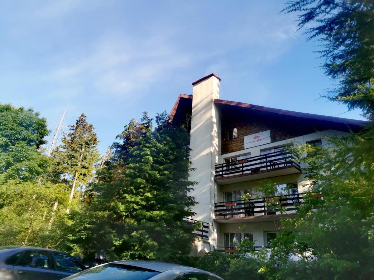 Malinowy Bed & Breakfast